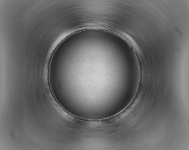 X0000112351196200908131422