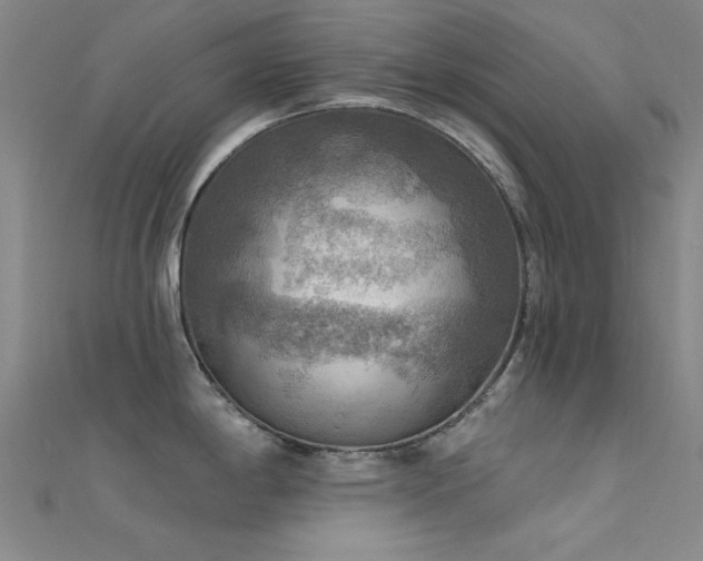 X0000112351198200908131422