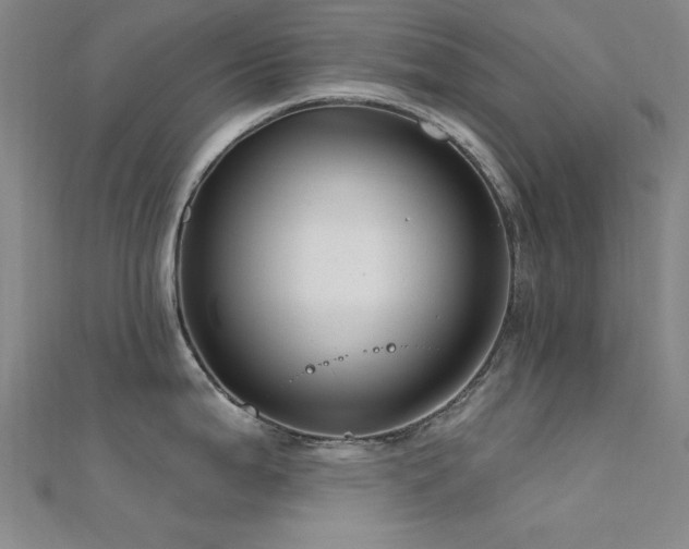 X0000112351199200908131422