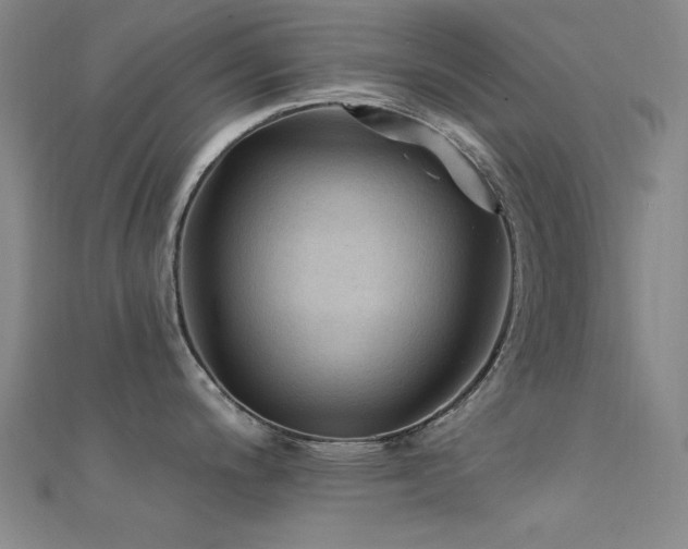 X0000112351200200908131422