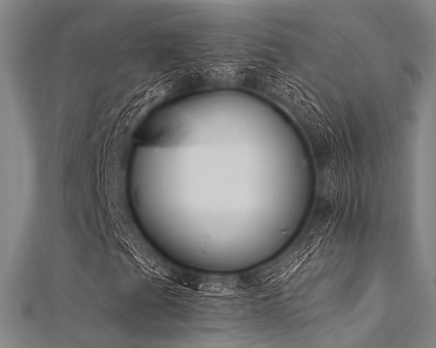 X0000112351201200908131421