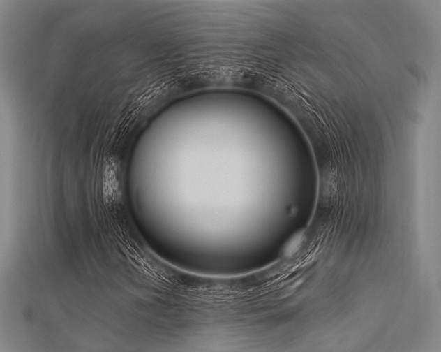 X0000112351202200908131421