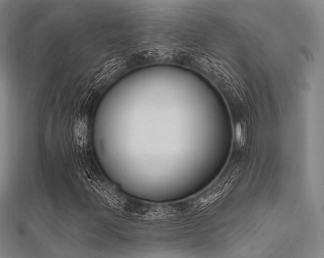 X0000112351203200908131421