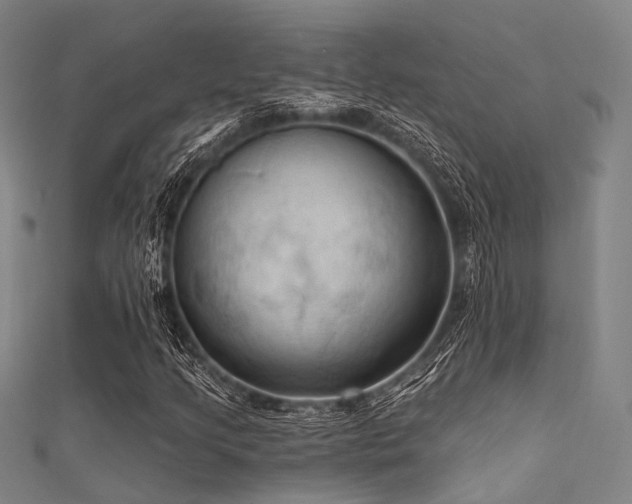 X0000112351205200908131421