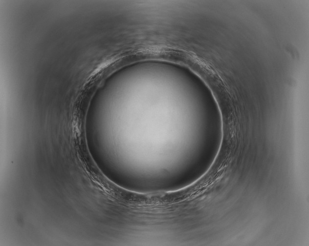 X0000112351206200908131421