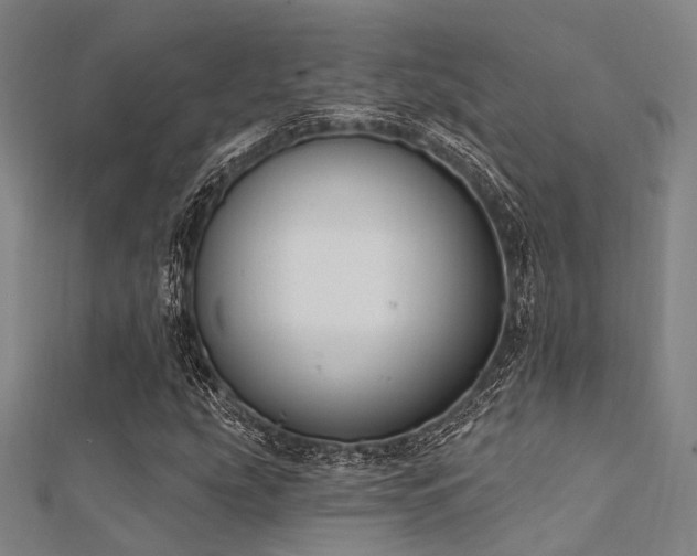 X0000112351207200908131421