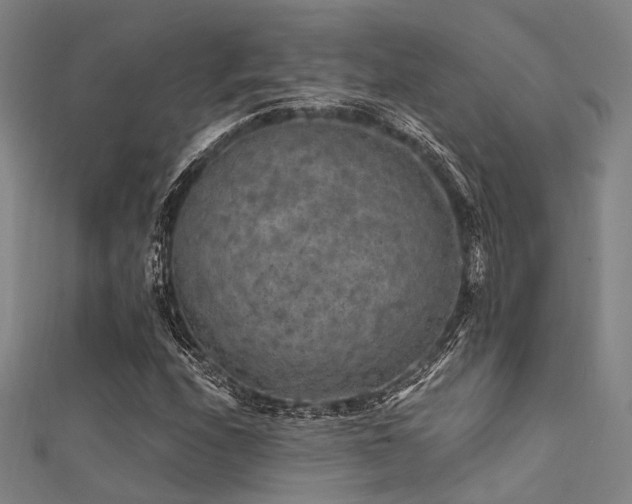 X0000112351208200908131421