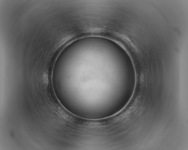 X0000112351209200908131421