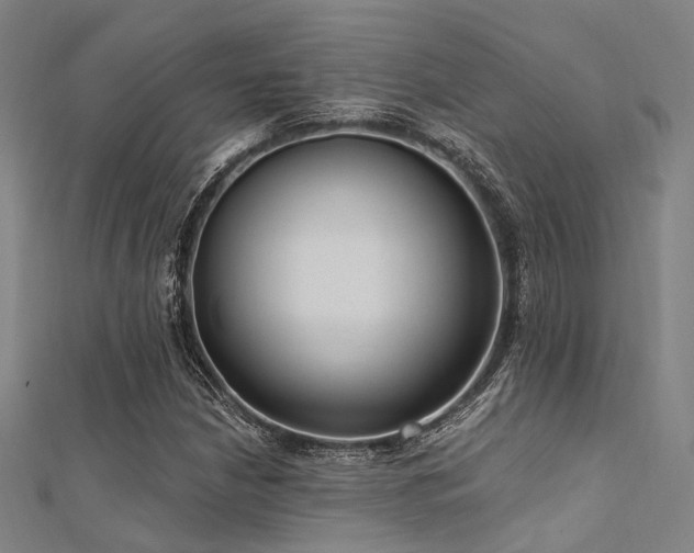 X0000112351210200908131421