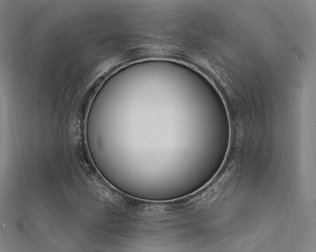 X0000112351211200908131421