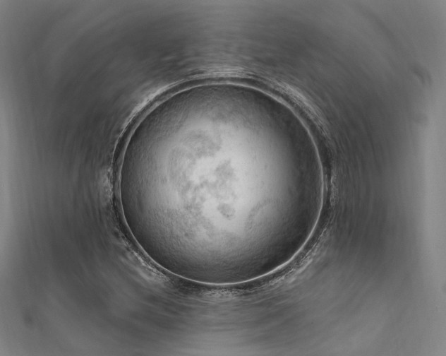 X0000112351212200908131421