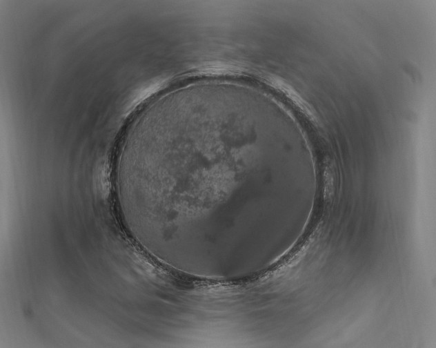 X0000112351213200908131421