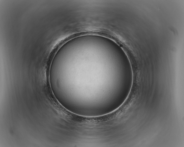 X0000112351214200908131421