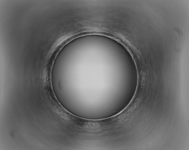 X0000112351215200908131421
