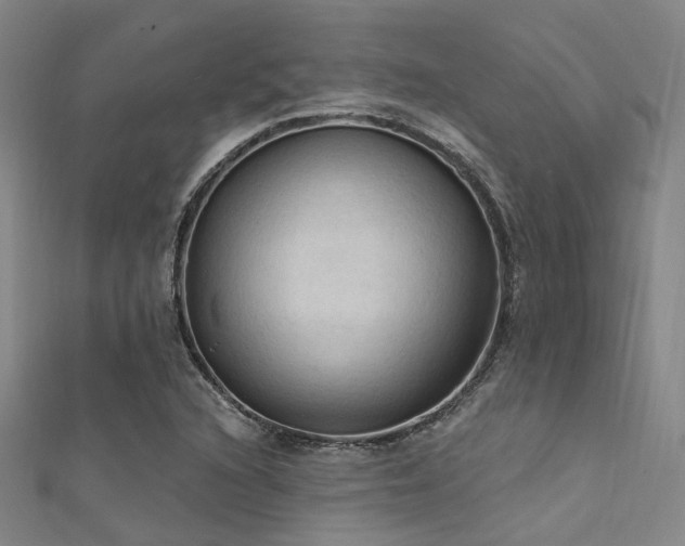 X0000112351216200908131421