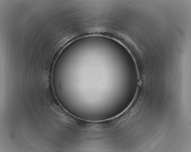 X0000112351217200908131421