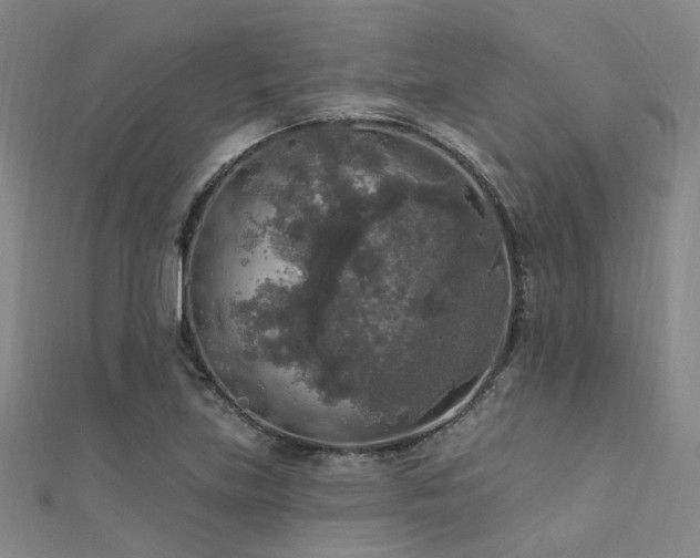 X0000112351219200908131421
