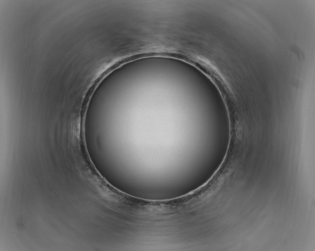 X0000112351220200908131421
