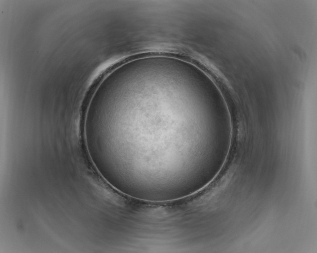X0000112351222200908131421