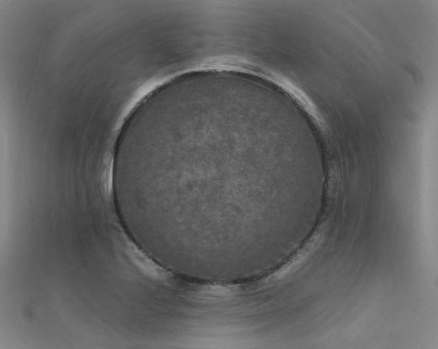 X0000112351224200908131421