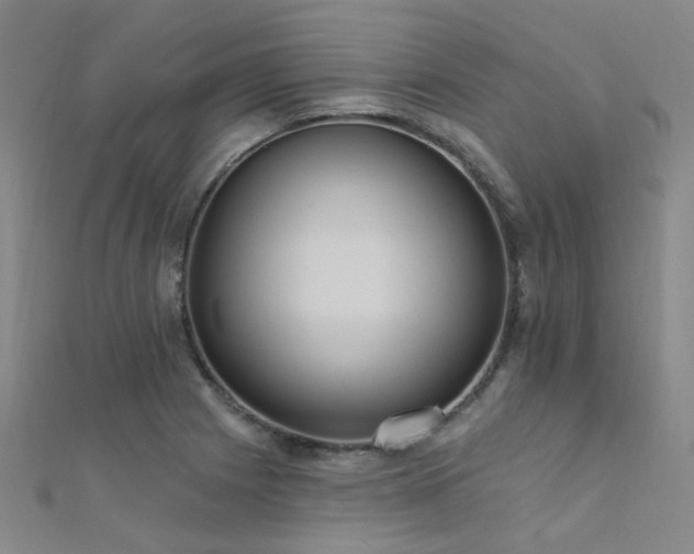 X0000112351225200908131421