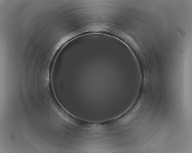 X0000112351226200908131421
