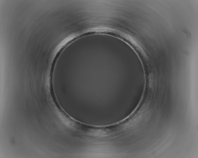 X0000112351229200908131421