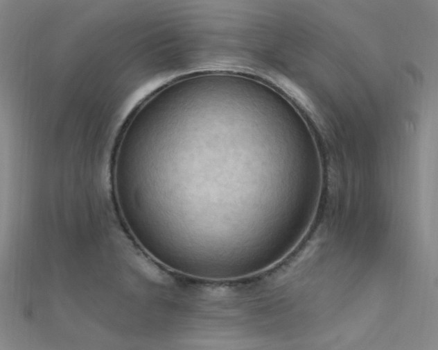 X0000112351230200908131421