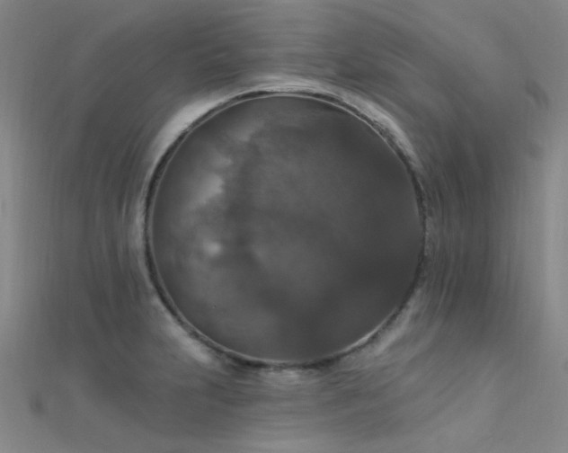 X0000112351231200908131421