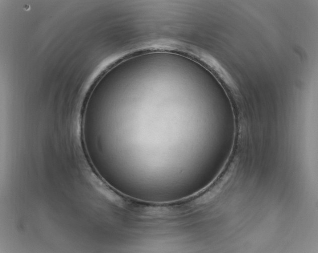 X0000112351232200908131421