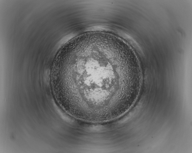 X0000112351233200908131421