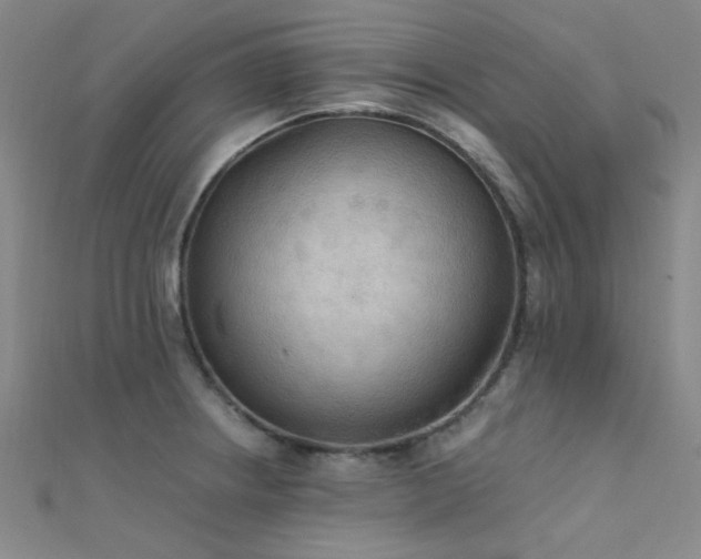 X0000112351234200908131421