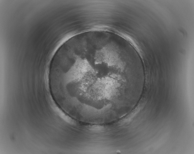 X0000112351235200908131421