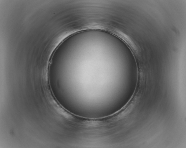 X0000112351236200908131421