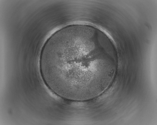 X0000112351237200908131421