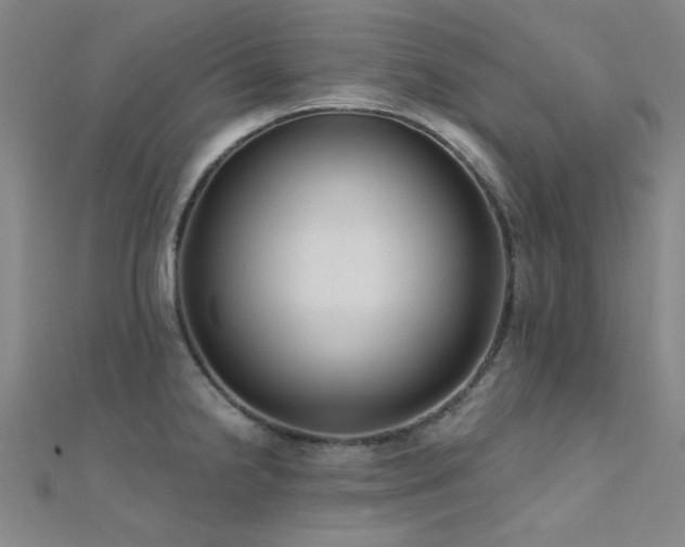 X0000112351238200908131422