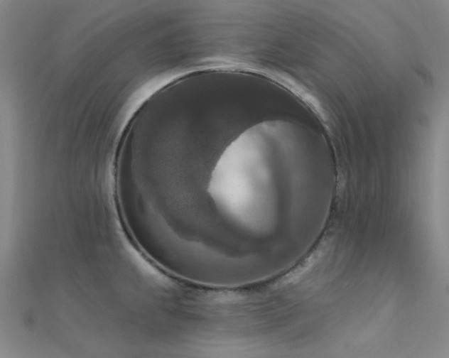 X0000112351239200908131422