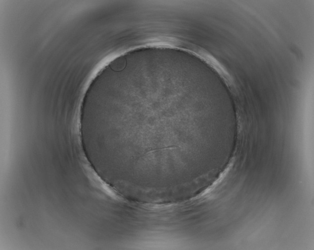 X0000112351240200908131422