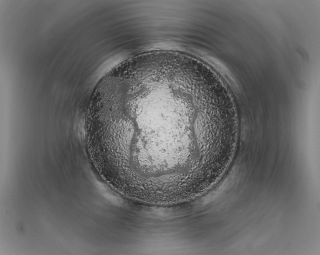 X0000112351241200908131422