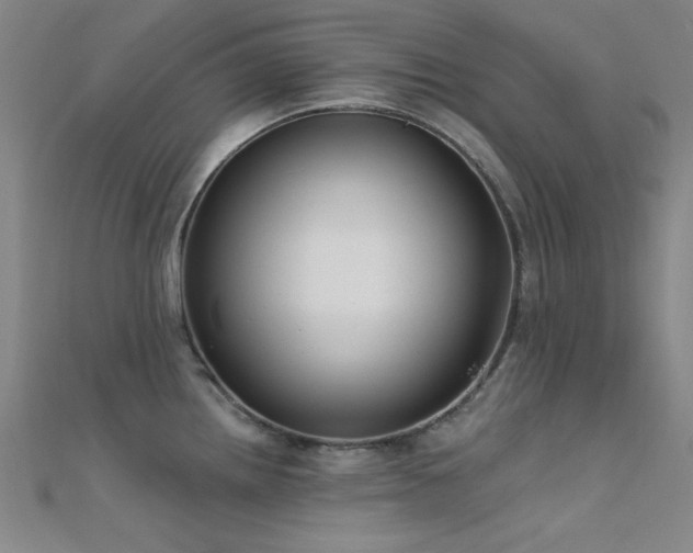 X0000112351242200908131422