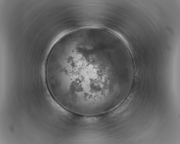 X0000112351243200908131422