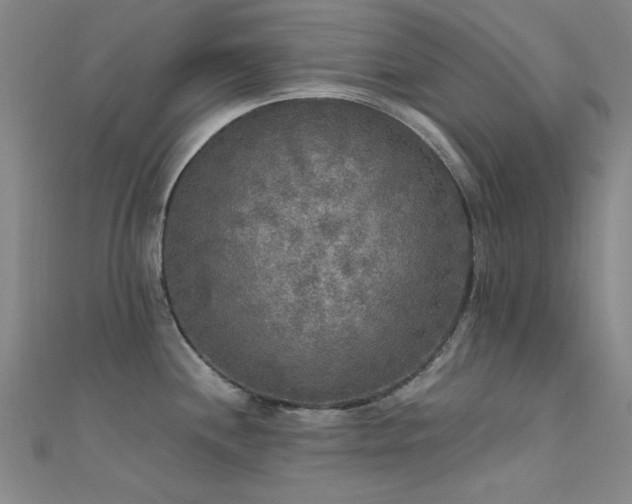 X0000112351244200908131422