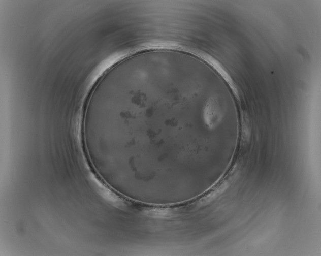 X0000112351245200908131422