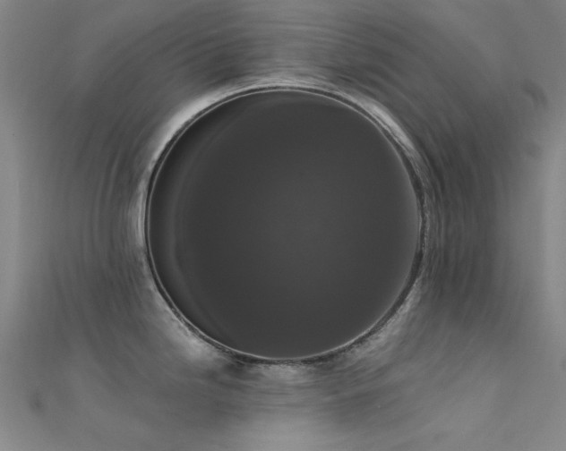 X0000112351246200908131422