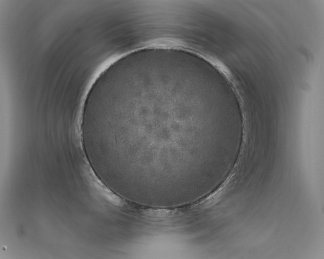 X0000112351248200908131422