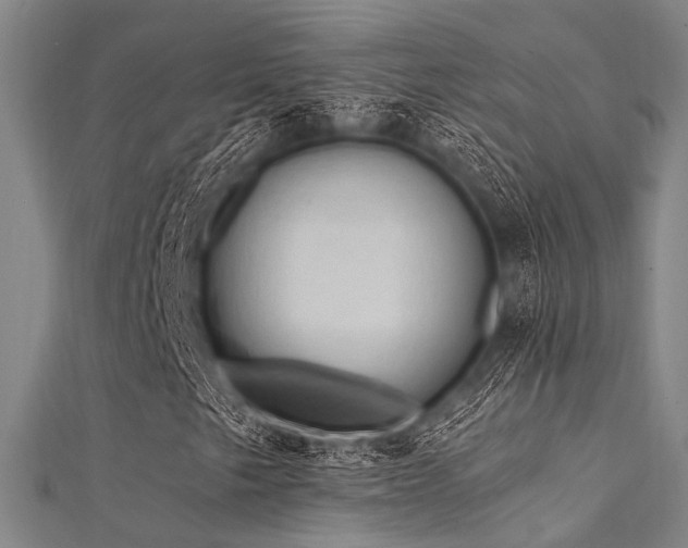 X0000112351249200908131421