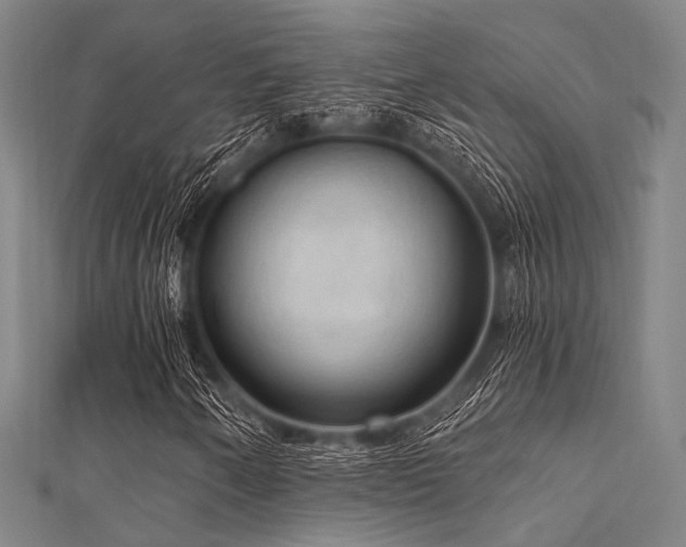X0000112351250200908131421