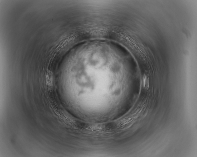 X0000112351251200908131421