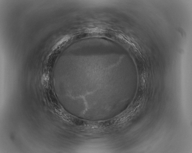 X0000112351254200908131421