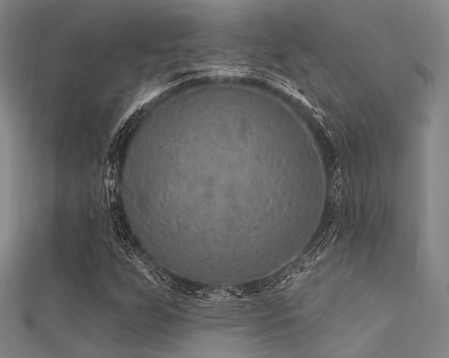 X0000112351255200908131421